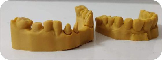 Des lichtempfindliches Harz-zusammengesetztes zahnmedizinisches Druckes 3D CAD-Nockens Modell