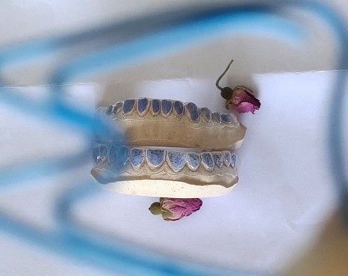 Kosmetischer Folien-Zahn Trushine Thermoforming, der Behälter weiß wird