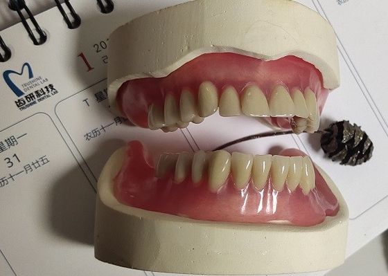 Acrylteilprothese der Immediatprothese-ISO13485