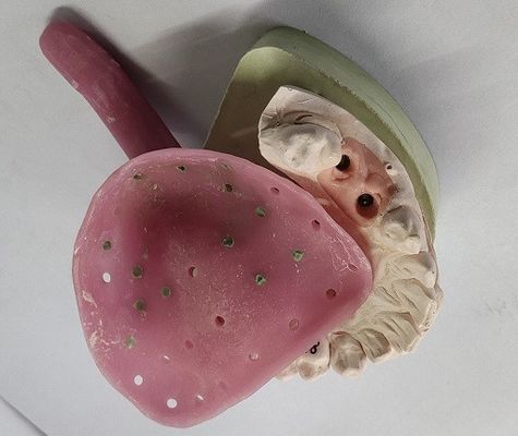 Kundenspezifische Behälter Trushine Premade für Gebisse andere zahnmedizinische Produkte