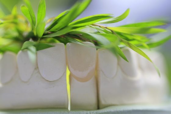 Natürliches dauerhaftes Glas-keramische zahnmedizinische Krone für Frontzähne