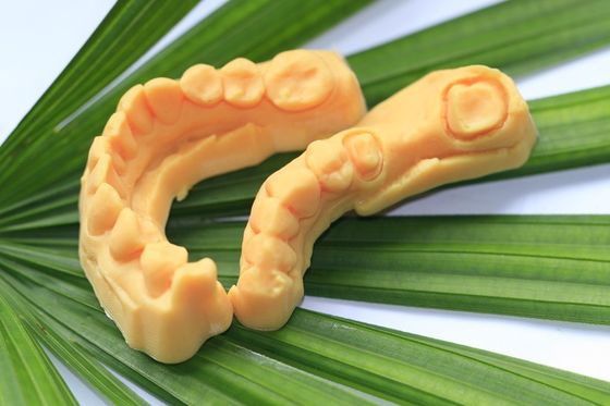 Des lichtempfindliches Harz-zusammengesetztes zahnmedizinisches Druckes 3D CAD-Nockens Modell
